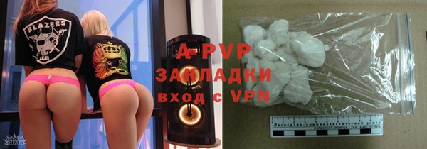 ECSTASY Дмитриев