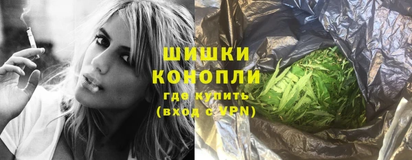 молекула духа Дмитров