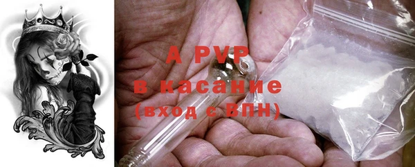 ECSTASY Дмитриев