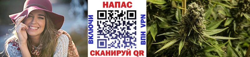 Купить где  Катайск  Шишки марихуана Amnesia 